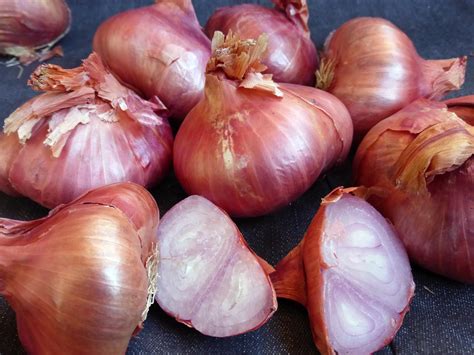 3. White Onions. White onions have a stronger flavor profile than sweet and yellow onions, but are still mild enough to use as a shallot substitute. We suggest finely chopping the white onion and cooking it a bit longer than you would a shallot to obtain a similar flavor. You can use 1 small white onion for every 3 small shallots. 4.